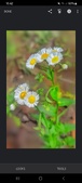 Enlarge photo 51