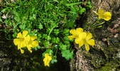 Enlarge photo 25