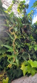 Enlarge photo 31