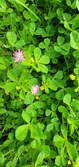 Enlarge photo 83