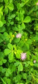 Enlarge photo 84