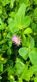 Enlarge photo 82