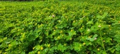 Enlarge photo 80