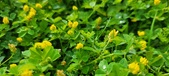 Enlarge photo 77