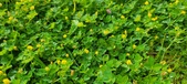 Enlarge photo 75