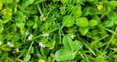 Enlarge photo 74