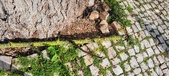 Enlarge photo 73