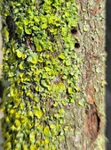 Enlarge photo 69