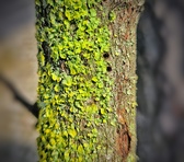 Enlarge photo 70
