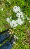 Enlarge photo 66
