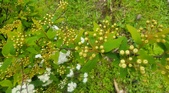 Enlarge photo 64