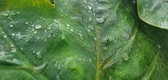 Enlarge photo 58
