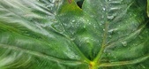 Enlarge photo 57