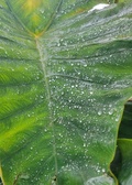 Enlarge photo 53