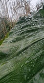 Enlarge photo 50