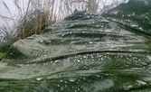 Enlarge photo 49