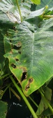 Enlarge photo 42