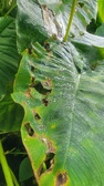 Enlarge photo 41