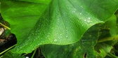 Enlarge photo 40