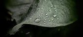 Enlarge photo 39