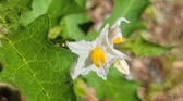 Enlarge photo 3