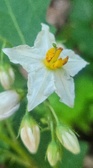 Enlarge photo 10