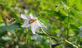 Enlarge photo 44