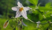 Enlarge photo 46
