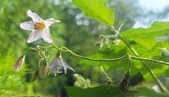 Enlarge photo 47