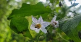 Enlarge photo 49