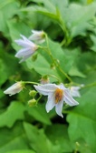 Enlarge photo 48