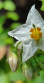 Enlarge photo 36
