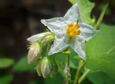 Enlarge photo 31