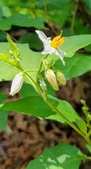 Enlarge photo 33