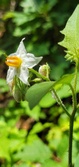 Enlarge photo 34