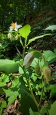 Enlarge photo 30