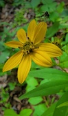 Enlarge photo 28