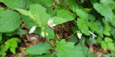Enlarge photo 37