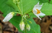Enlarge photo 43