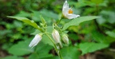 Enlarge photo 42