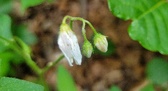 Enlarge photo 41