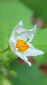 Enlarge photo 40
