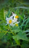 Enlarge photo 53