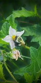 Enlarge photo 56