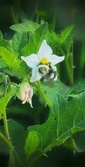 Enlarge photo 58