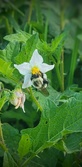 Enlarge photo 59