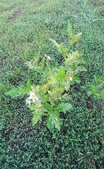Enlarge photo 65