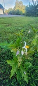 Enlarge photo 66