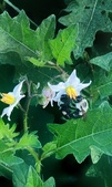 Enlarge photo 71