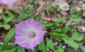 Enlarge photo 73